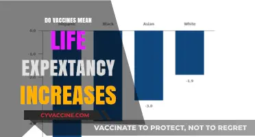 Vaccines and Longevity: Exploring the Impact on Life Expectancy