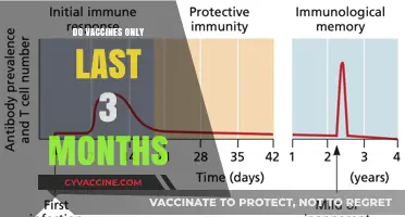 Vaccine Durability: Debunking the 3-Month Myth and Understanding Immunity