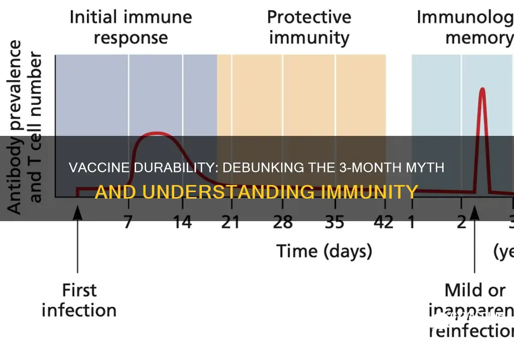do vaccines only last 3 months