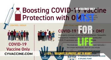 Do Vaccines Provide Lifelong Immunity? Exploring Duration and Booster Needs