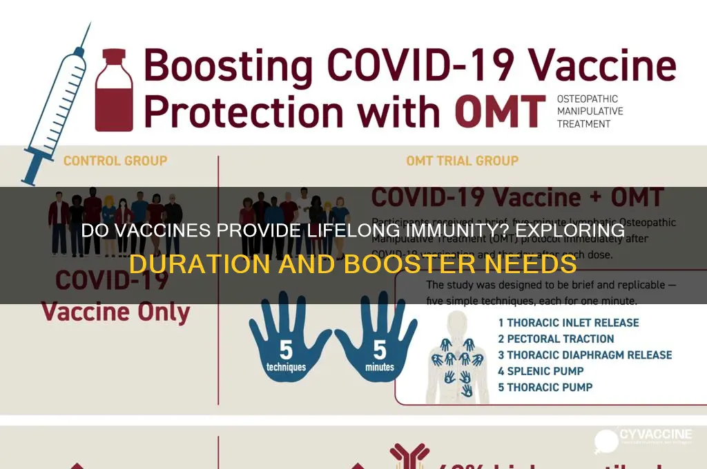 do vaccines only last for life