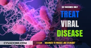 Vaccines Beyond Viruses: Exploring Their Role in Disease Prevention