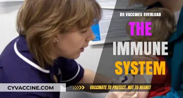 Vaccines and Immune System Overload: Separating Fact from Fiction