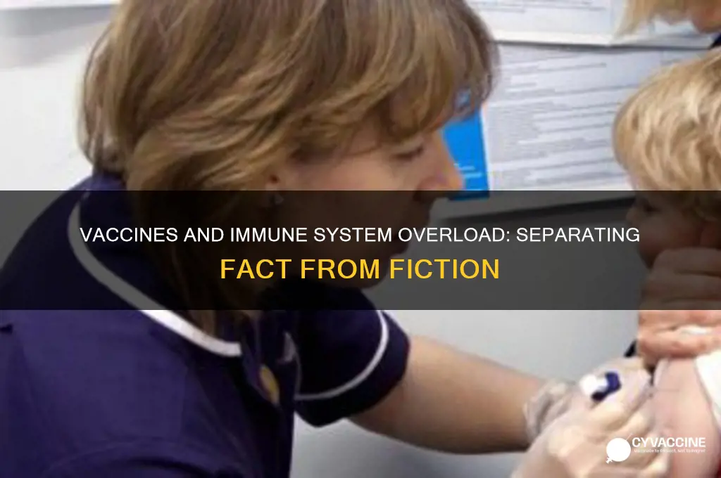 do vaccines overload the immune system