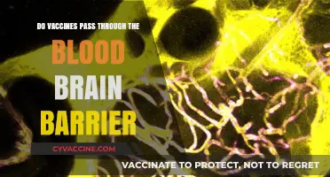 Vaccines and the Blood-Brain Barrier: What's the Truth?