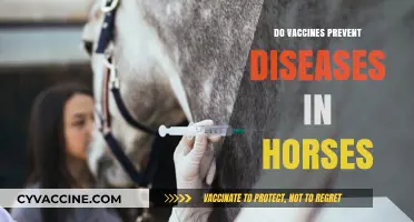 Do Vaccines Prevent Diseases in Horses? Essential Insights for Owners