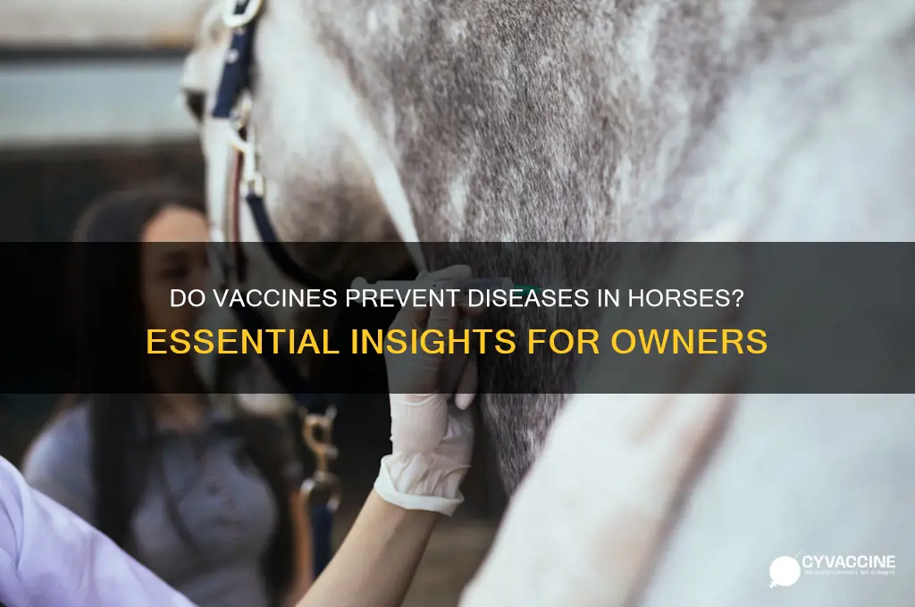 do vaccines prevent diseases in horses