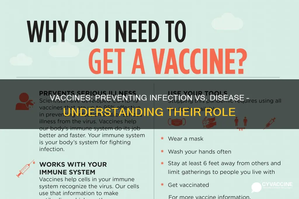 do vaccines prevent infection or disease