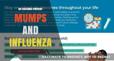 Vaccines: Effective Prevention Against Mumps and Influenza Infections