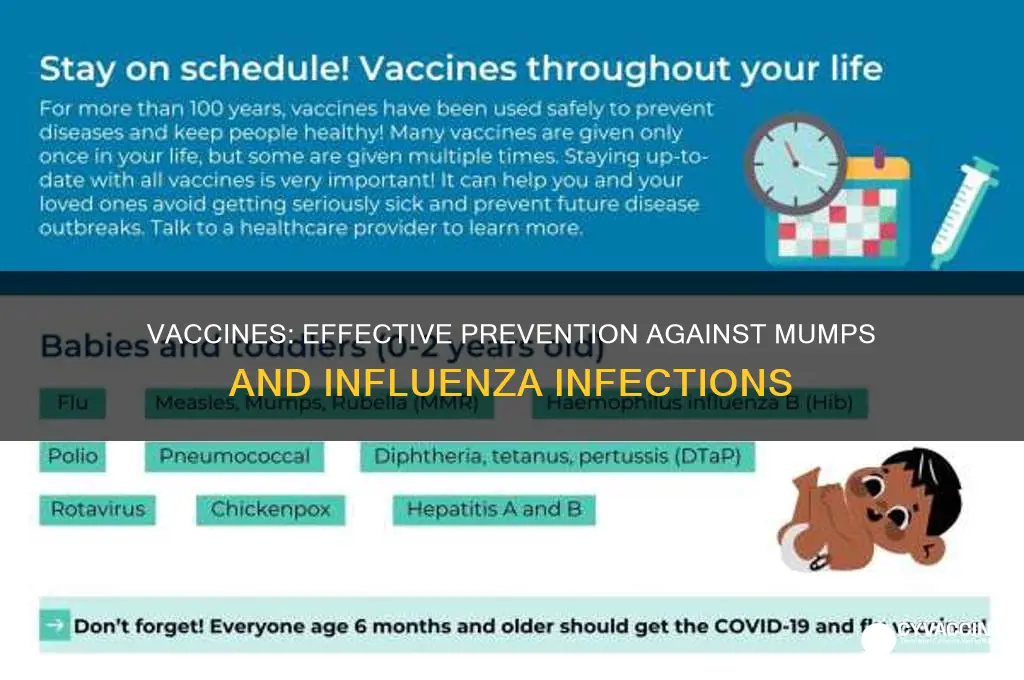 do vaccines prevent mumps and influenza