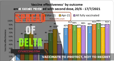 Do Vaccines Halt Delta Spread? Unraveling the Science Behind Immunity
