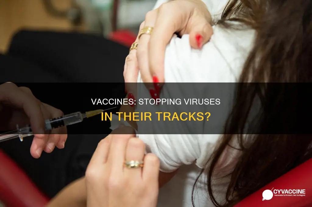 do vaccines prevent the spread of a virus
