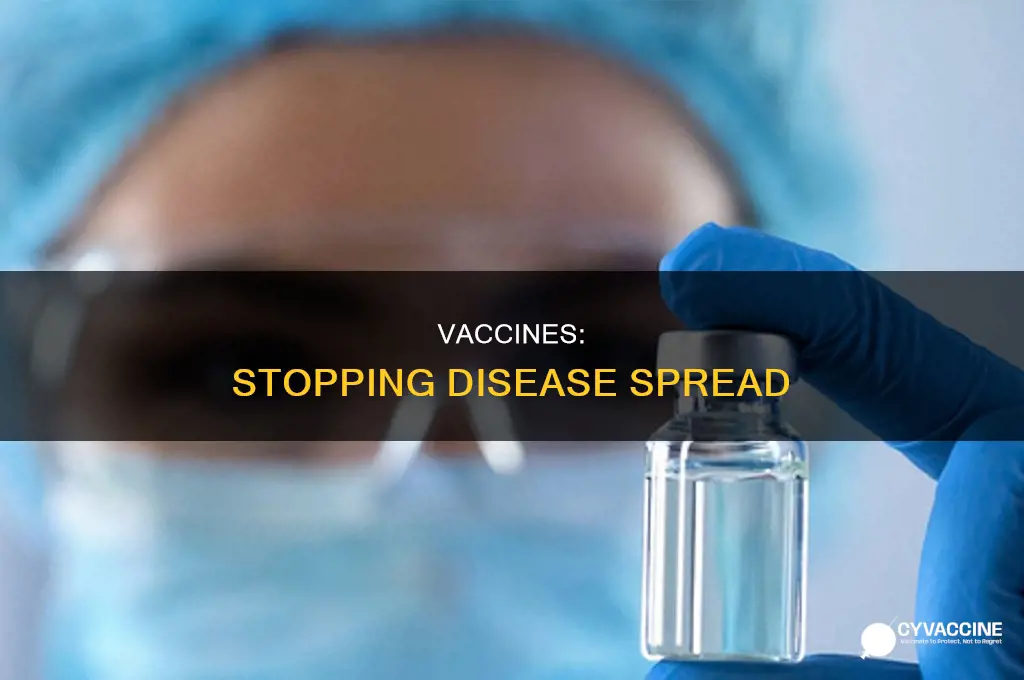 do vaccines prevent the spread of disease study