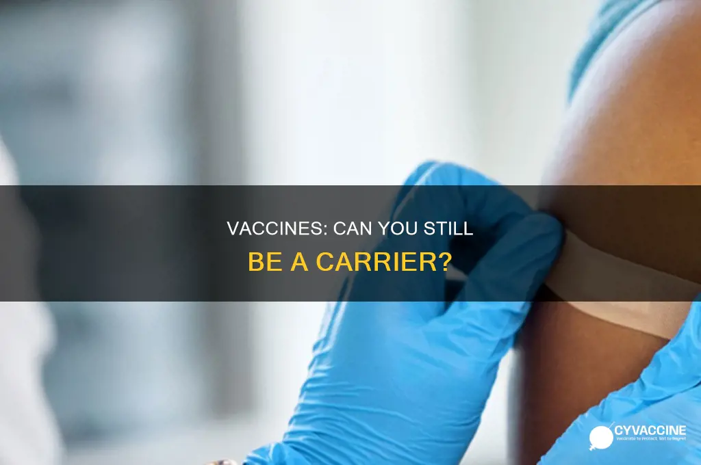 do vaccines prevent you from being a carrier