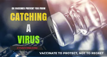 Vaccines: Protection or Prevention?
