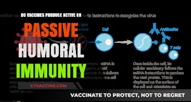 Vaccines: Active or Passive Immunity?