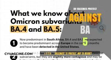 Do Vaccines Shield Against BA.5? Latest Research and Insights