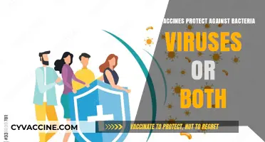 Vaccines: Protecting Against Bacteria and Viruses