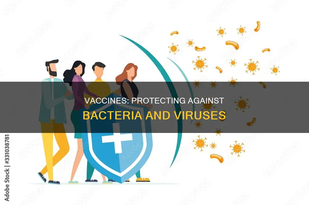 do vaccines protect against bacteria viruses or both