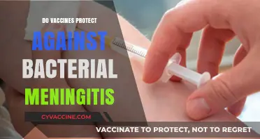 Vaccines and Bacterial Meningitis: Understanding Their Protective Role