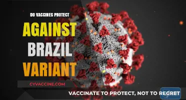 Do Vaccines Shield Against the Brazil COVID-19 Variant?