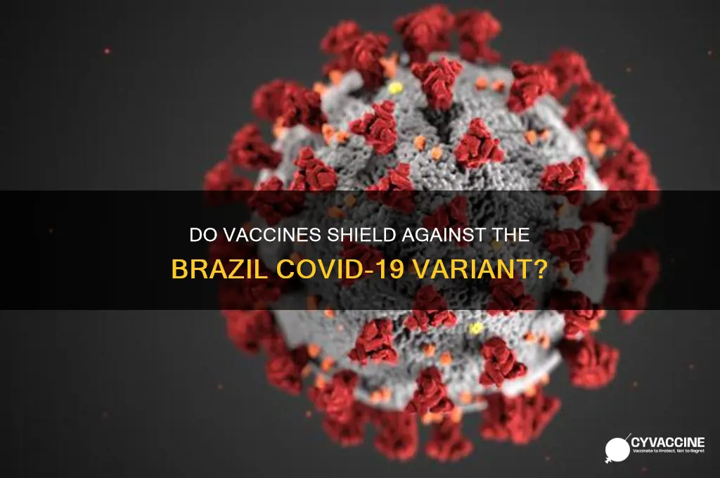 do vaccines protect against brazil variant