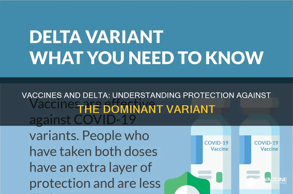 do vaccines protect against delta variants