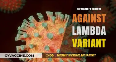 Do Vaccines Shield Against the Lambda COVID-19 Variant?