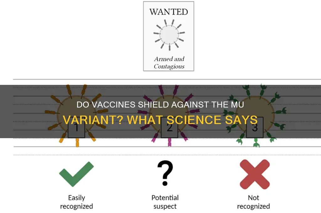do vaccines protect against mu variant