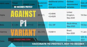 Vaccines and the P1 Variant: Understanding Protection and Efficacy