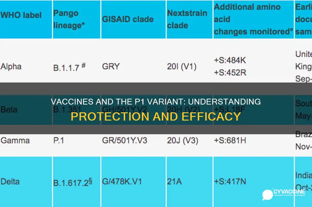 do vaccines protect against p1 variant