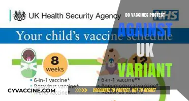 Do Vaccines Safeguard Against the UK COVID-19 Variant?