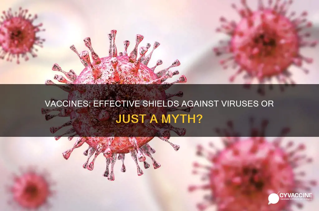 do vaccines protect indivudals from virus