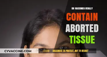 Vaccines and Aborted Tissue: Separating Fact from Fiction