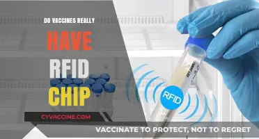 Vaccines and RFID Chips: Separating Fact from Fiction