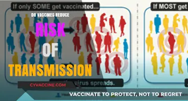 Vaccines and Transmission: Reducing COVID-19 Spread Risk Effectively