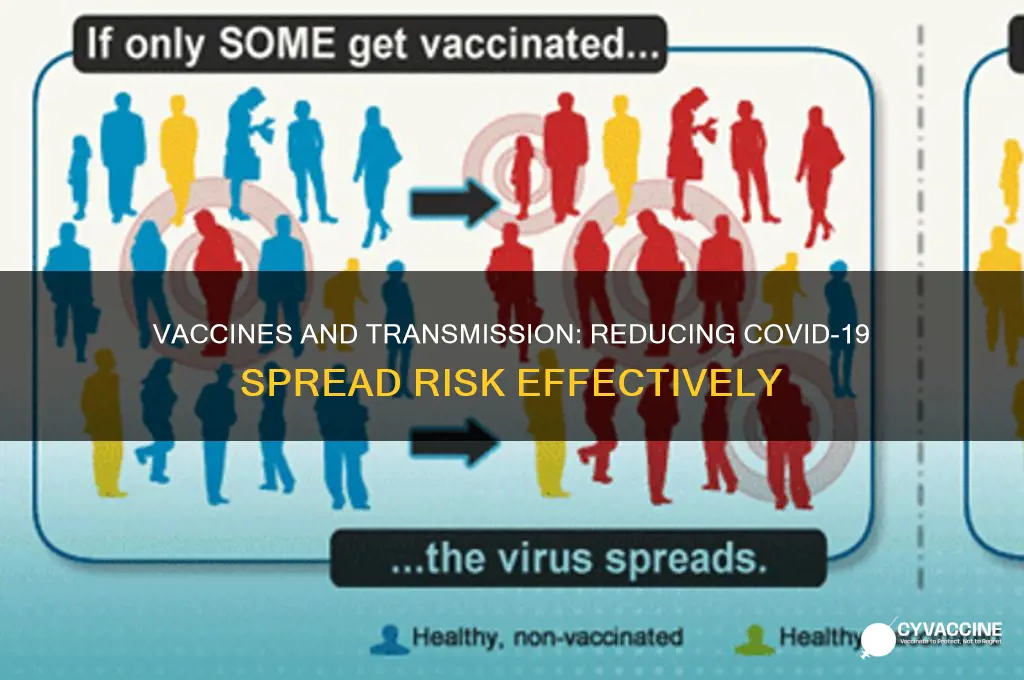 do vaccines reduce risk of transmission