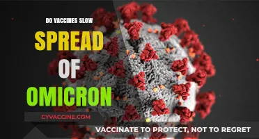 Vaccines and Omicron: Slowing Spread or Limited Impact?