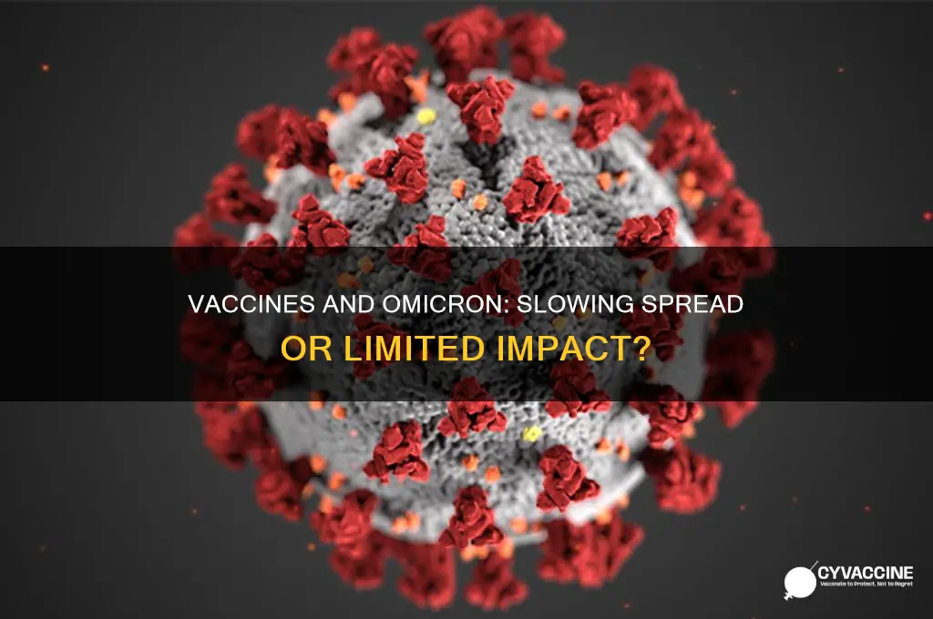 do vaccines slow spread of omicron