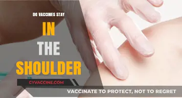 Do Vaccines Stay in the Shoulder? Debunking Myths and Facts