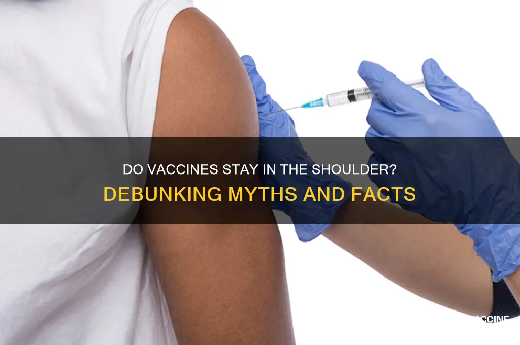 do vaccines stay in the shoulder