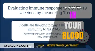 Do Vaccines Stay in Your Blood? Unraveling the Science Behind Immunization