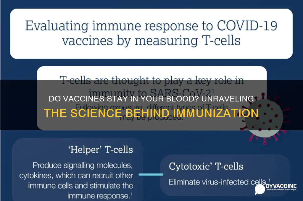 do vaccines stay in your blood