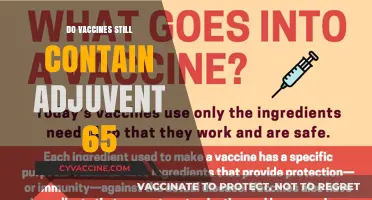 Do Vaccines Still Use Adjuvant 65? Uncovering the Facts