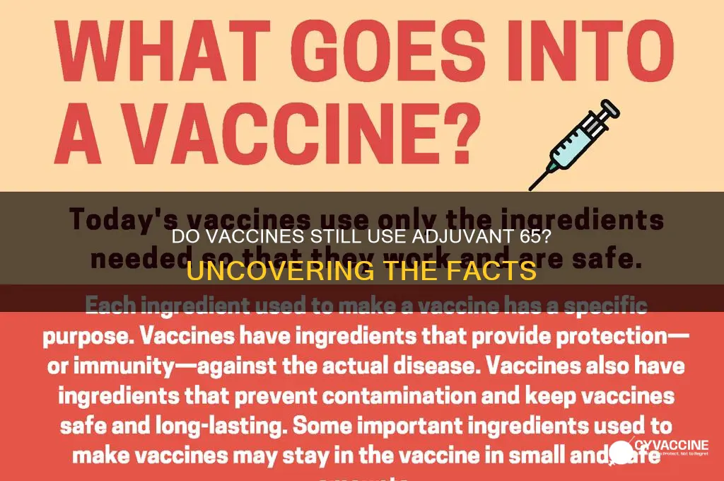 do vaccines still contain adjuvent 65