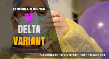 Vaccines and the Delta Variant: What You Need to Know