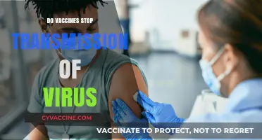 Do Vaccines Prevent Virus Spread? Unraveling Transmission Myths and Facts