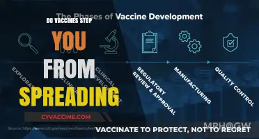 Do Vaccines Prevent Transmission? Understanding Their Role in Stopping Spread