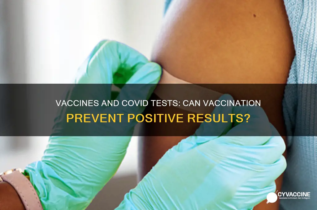 do vaccines stop you testing positive