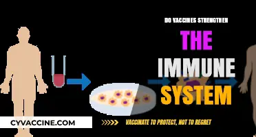 Vaccines and Immunity: How They Boost Your Body's Defenses
